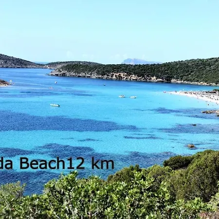 아파트 Easy Flat Sardinia Sky Blue *